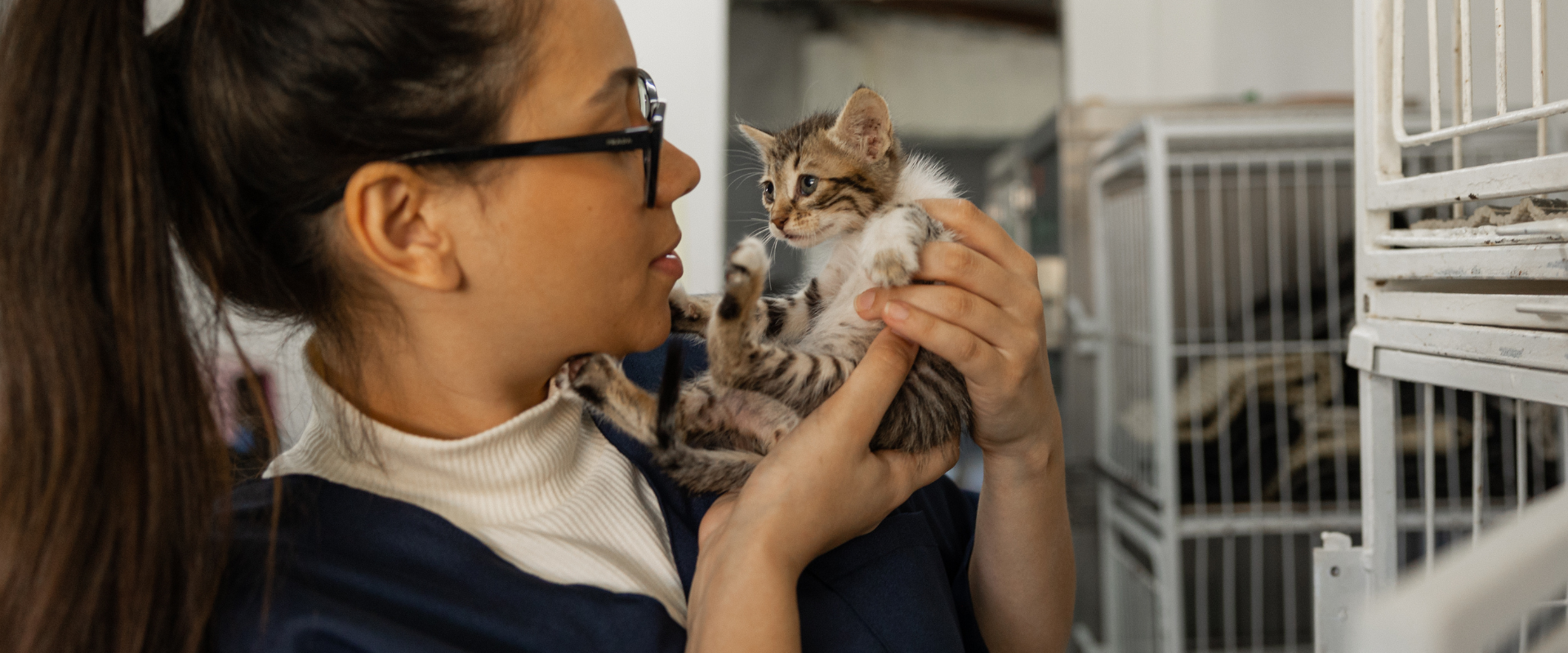 Welfare Tracker Shelter Management